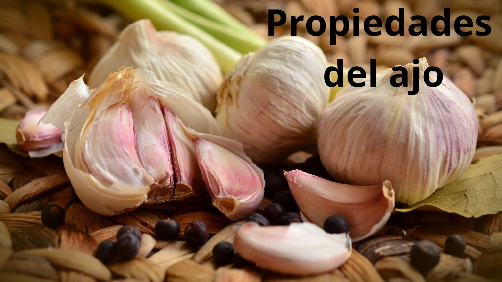 PROPIEDADES Y BENEFICIOS DEL AJO PARA LA SALUD DESCUBRE CÓMO ESTE