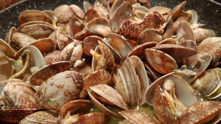 ALMEJAS A LA MARINERA