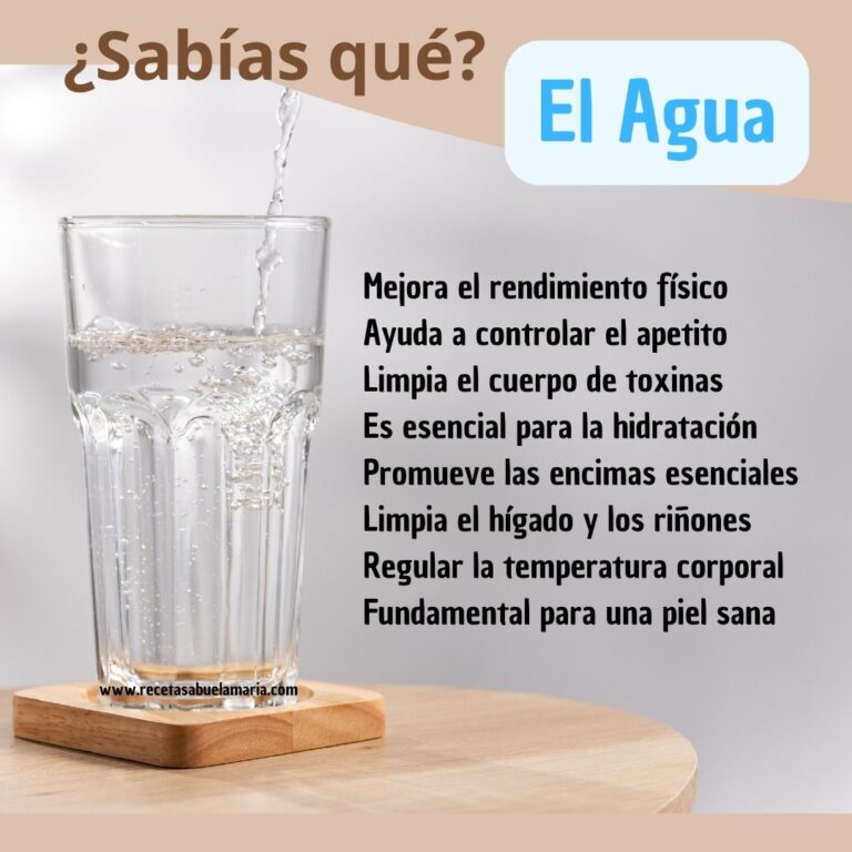 💧💧 8 Razones Saludables Para Beber Agua ⭐⭐ 3501