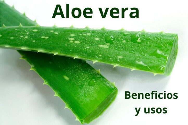 beneficios y usos del aloe vera