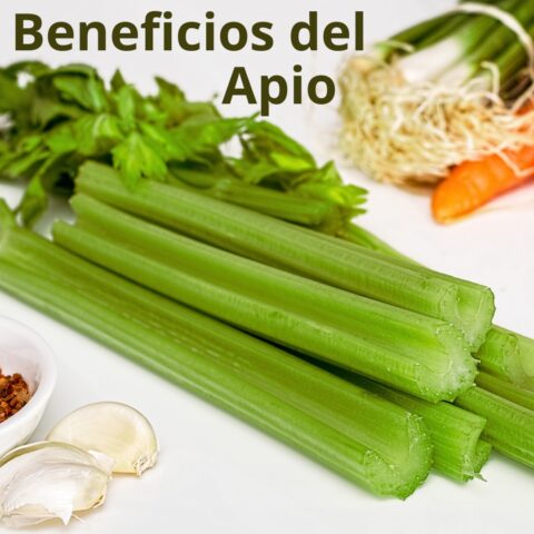 Beneficios del apio para la salud: descubre por qué es bajo en calorías y rico en fibra